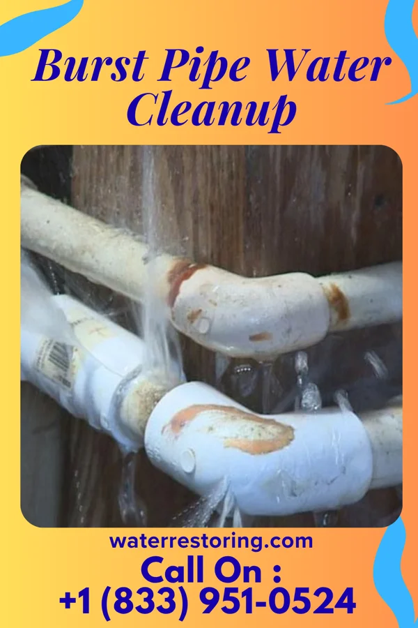 Burst Pipe Water Cleanup in White Plains, KY