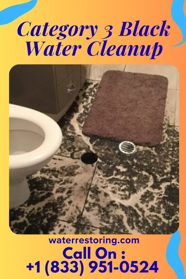 Category 3 Black Water Cleanup in White Plains, KY