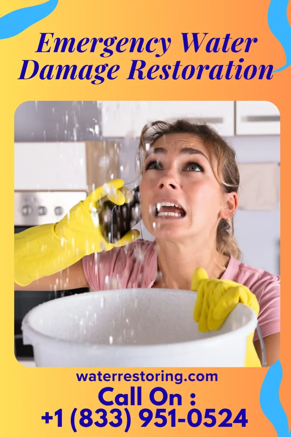 Emergency Water Damage Restoration in White Plains, KY