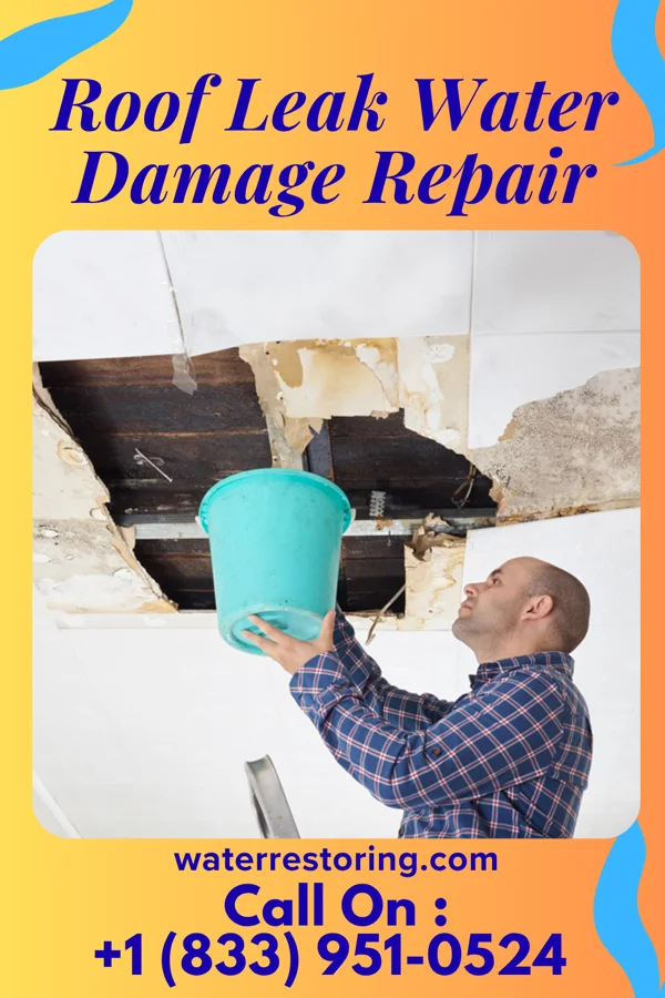 Roof Leak Water Damage Repair in White Plains, KY