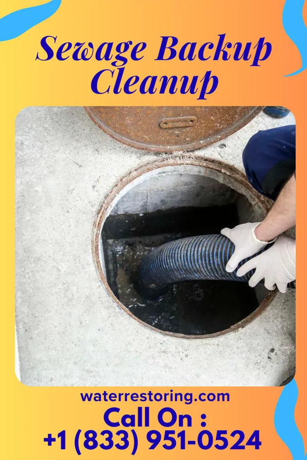 Sewage Backup Cleanup in White Plains, KY
