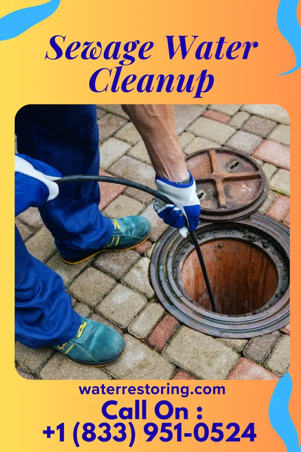 Sewage Water Cleanup in White Plains, KY